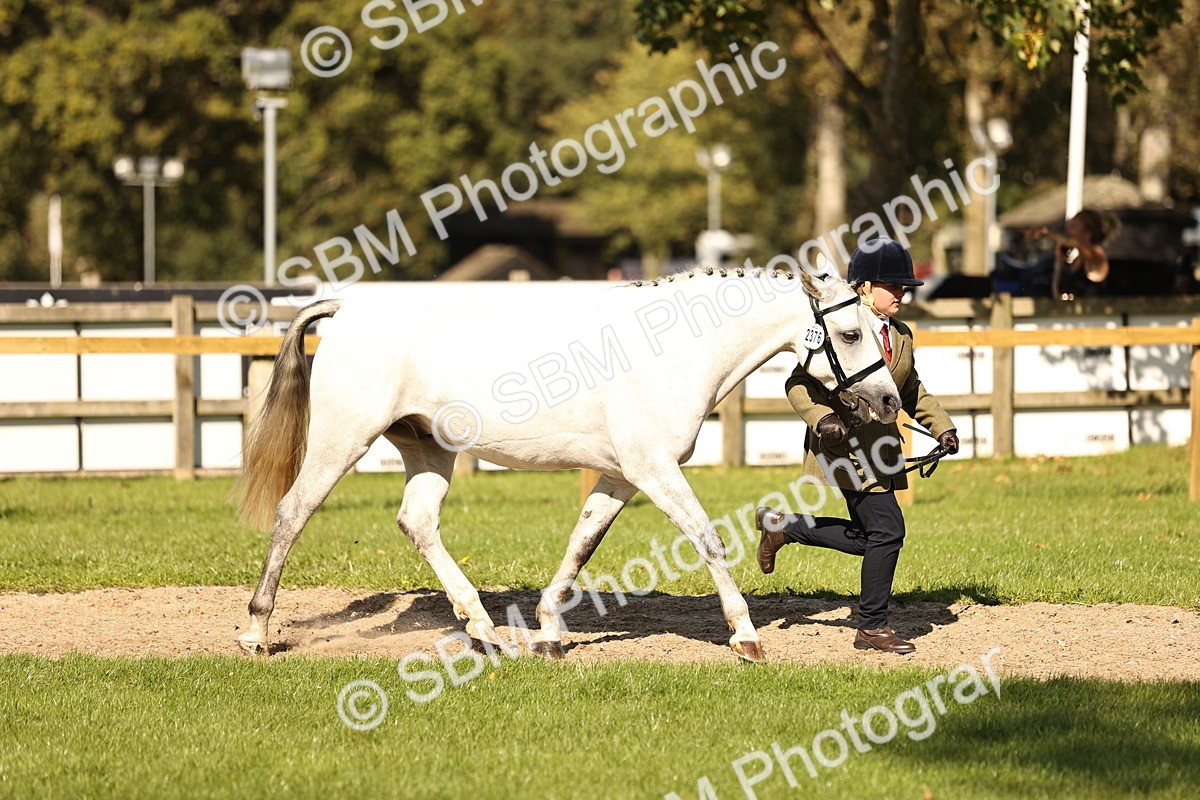 SBM_26148 - S5 - Novice & Newcomers In Hand