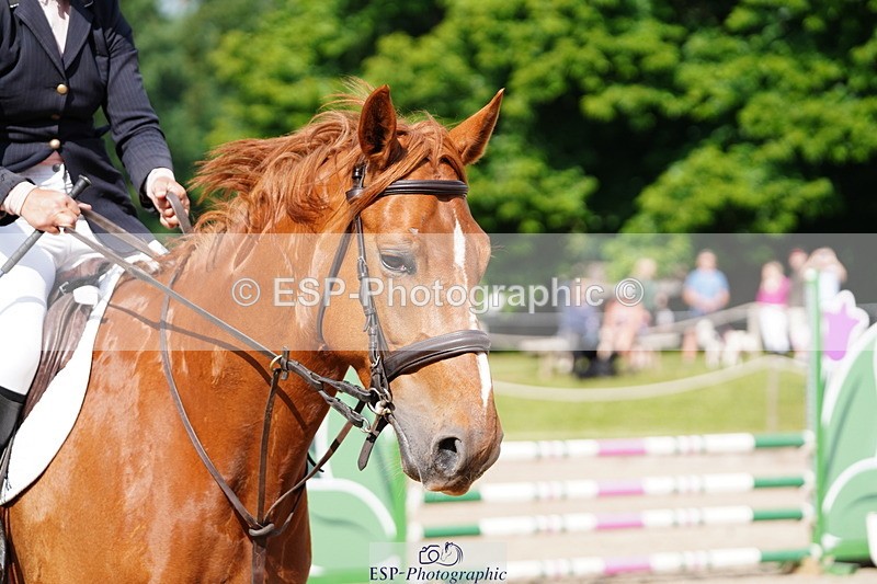 250615A-092852-09856 - Class 43 British Novice 90cm Open
