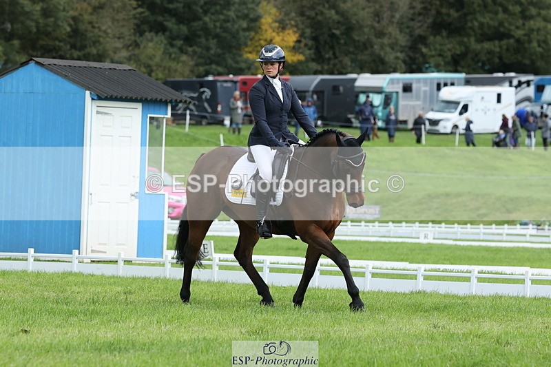 251023A-115034-03431 - E-384-Holly.Horton