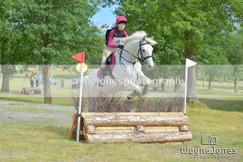 NGP_6232 - Edited examples