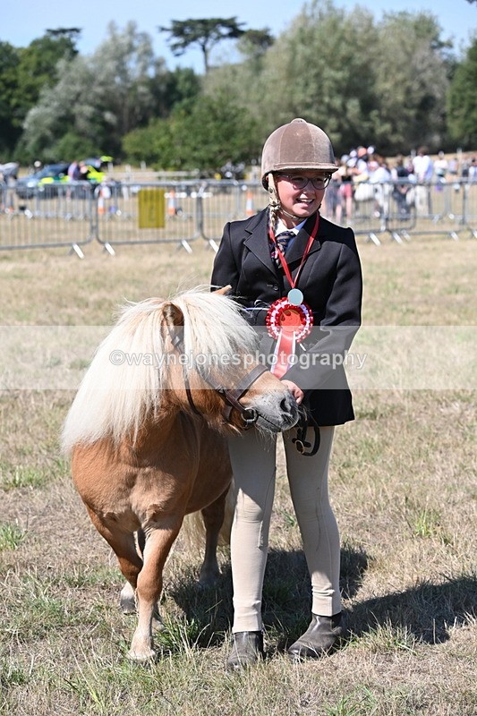 WJ6_8752 - Class 37b Best Loan Pony In-hand