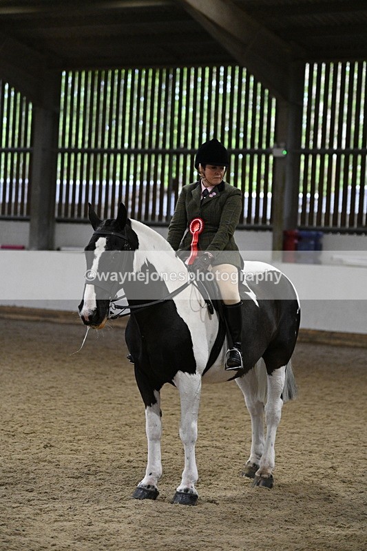 WJ7_4362 - Class 17 Ridden Cob