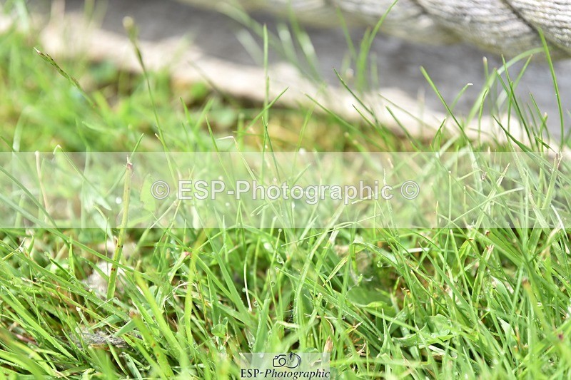 240605-100506-00017 - Cls 1 Prelim 17 SQ