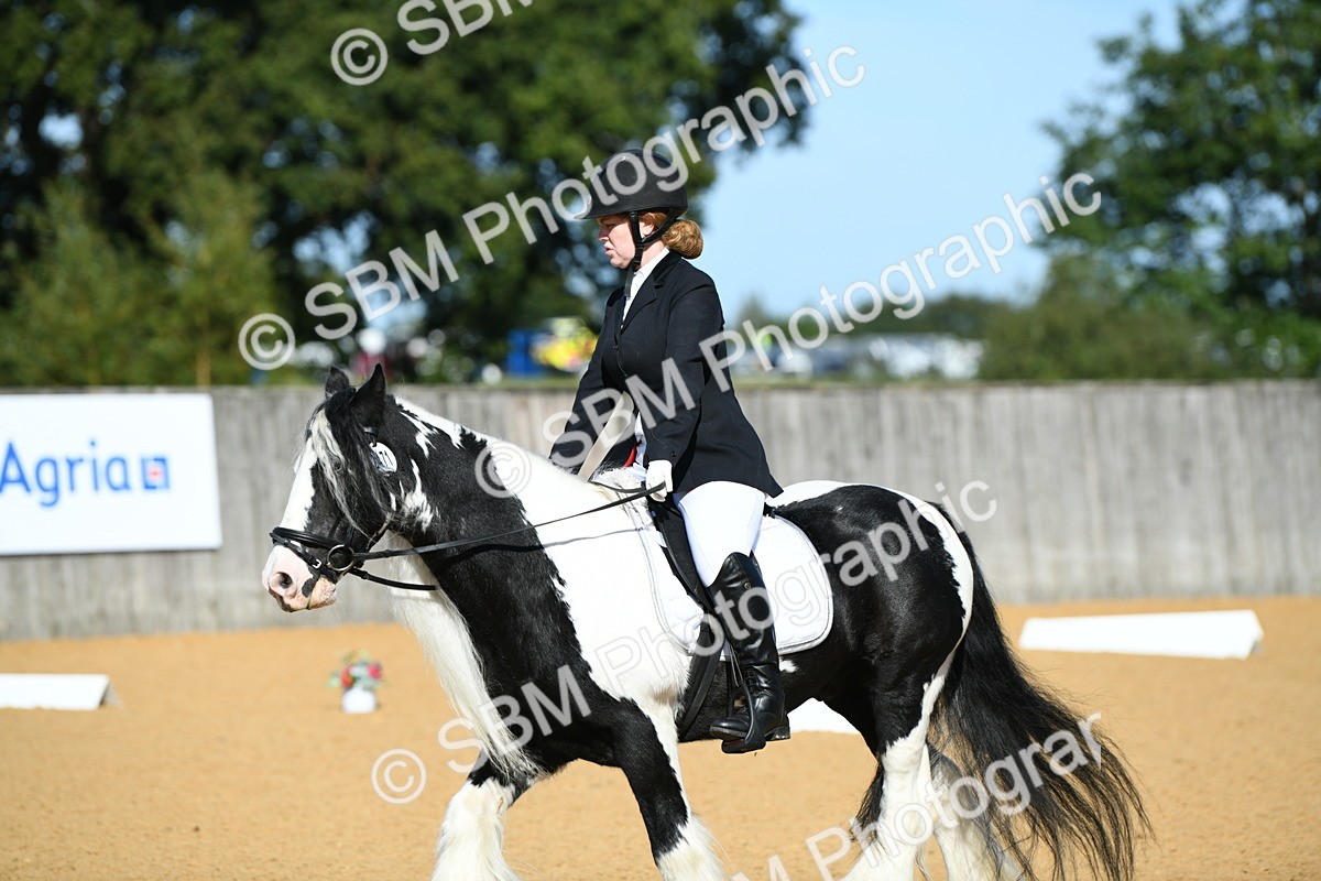 SBM_18078 - D4 - Small Tour Championship - Intro B