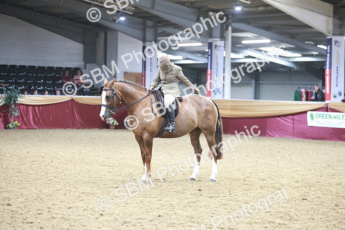 SBM_08965 - Class 12R - Regional Ridden Pre-Vet