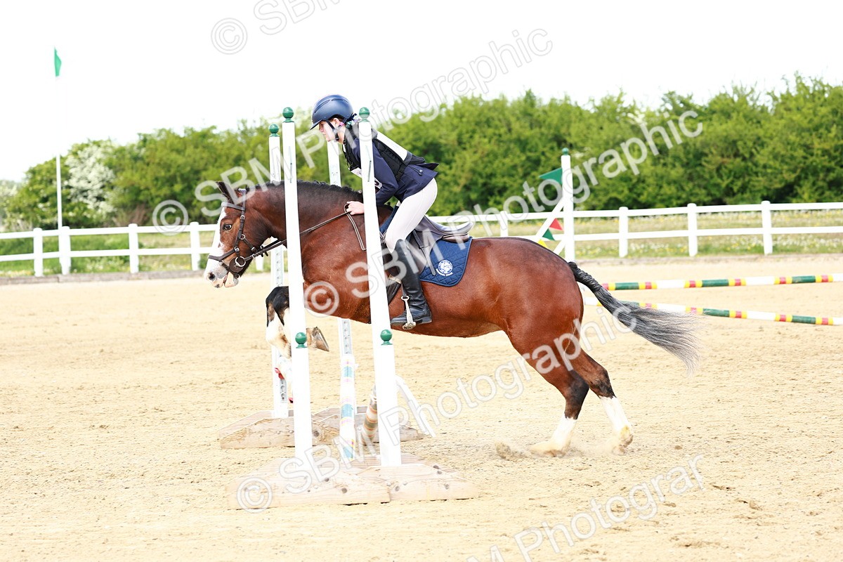 SBM_007888 - Class 3 - 60cm