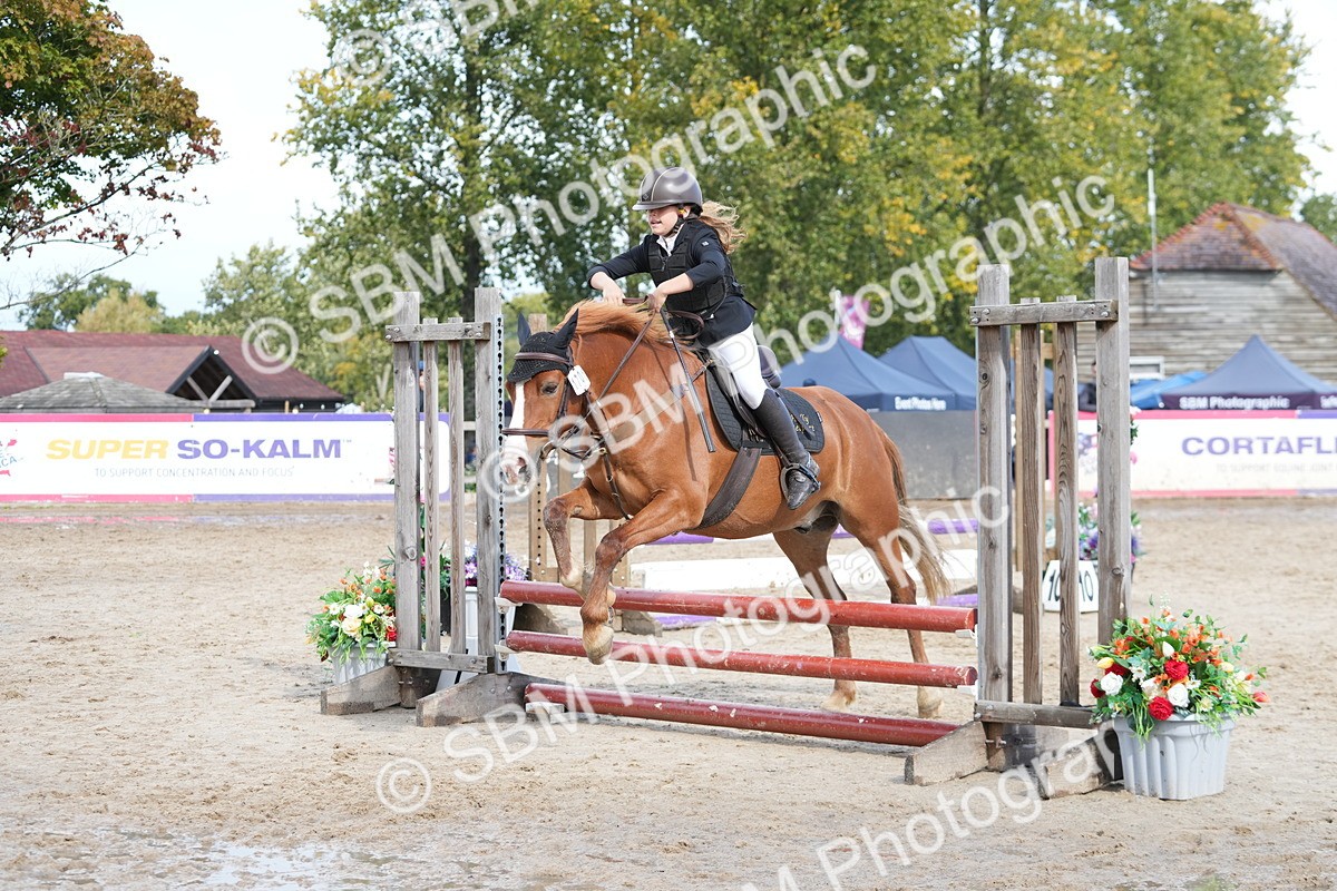 SBM_39621 - J6 - Junior Pony 55cm Championship