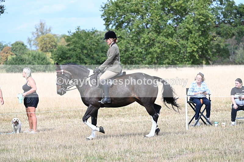 WJ7_5845 - Class 13 Ridden Veterans