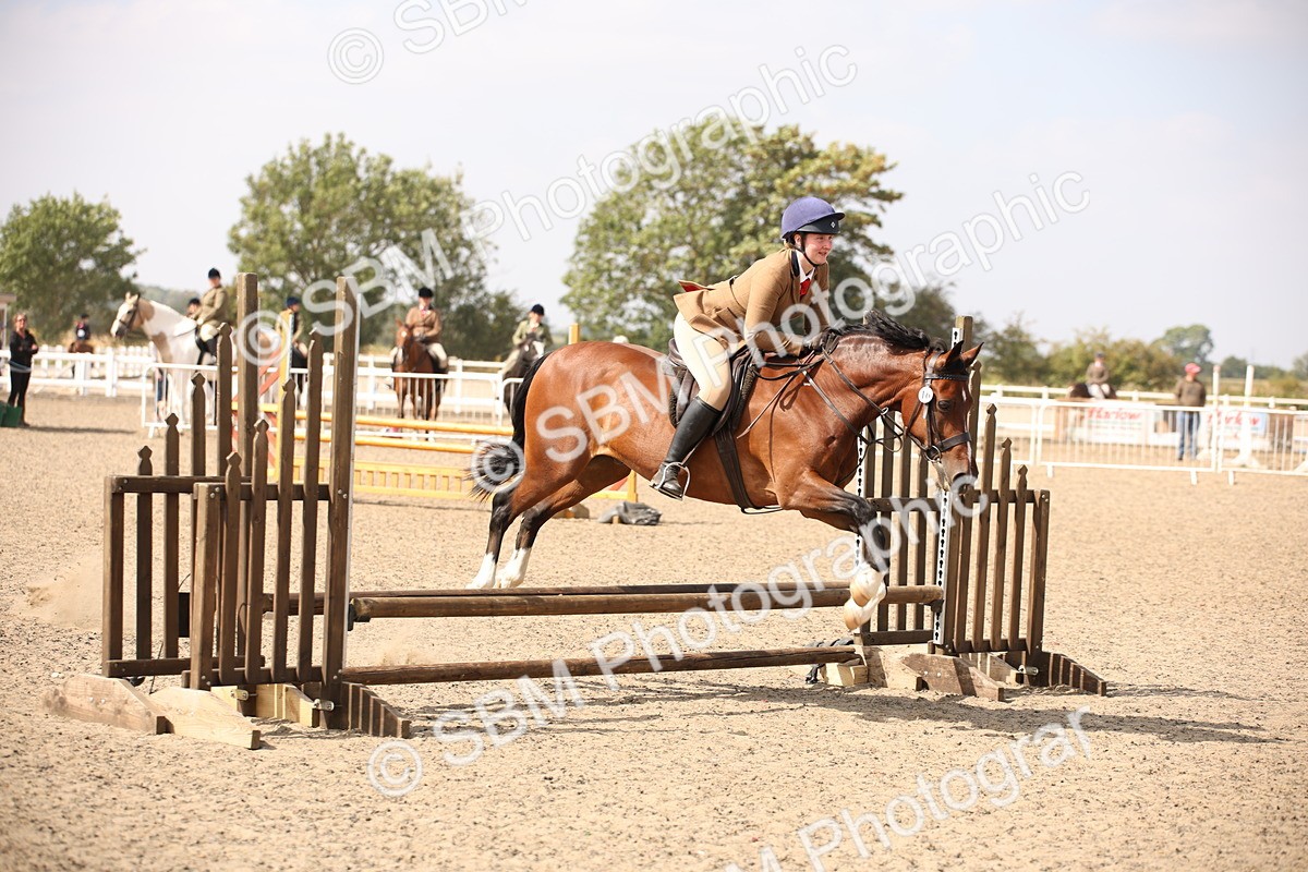 SBM_14191 - Class 407a - Working Veteran 60cm (15-19