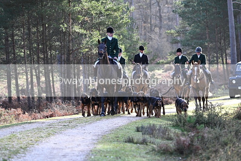 WJ7_7638 - Line 3 (no line 4 or 5)