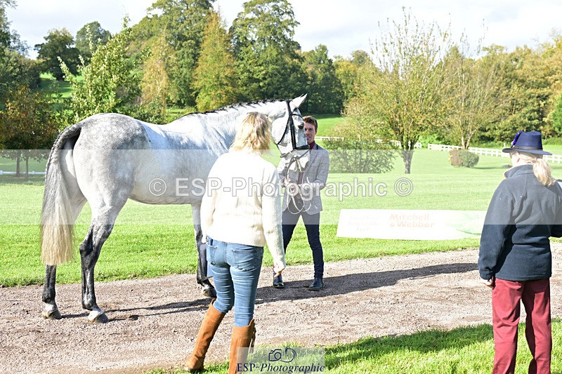 241023-125953-00004 - 001-Cameron.Beer-NEWPORTS.DEFINITELY.UNTOUCHABLE