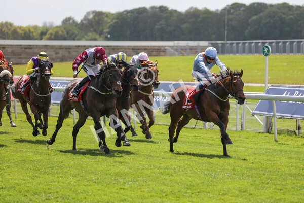 yr13052021r1-25 - Race 1 1.40pm The Matchbook Betting Exchange Stakes