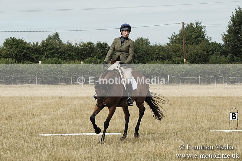 _PJP5642 - Dressage Classes BVRC Show 2018