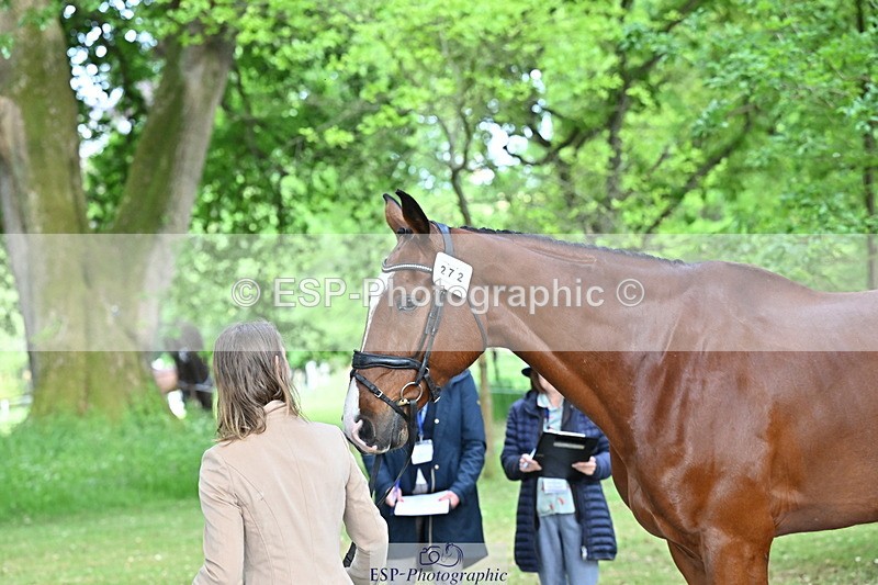 250521A-165521-01403 - C-272-Louisa.Lockwood-KILCANNON.OREO