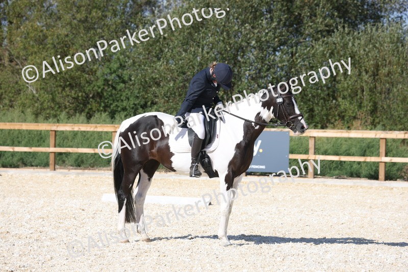 20260905-1586 - Class 5 - Novice 2