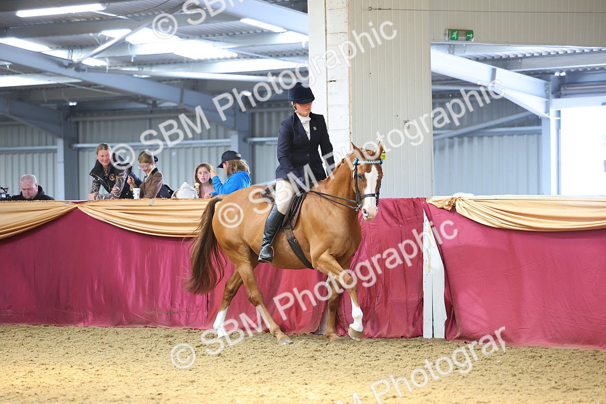 SBM_24061 - Class 905 - Supreme Final - Ridden Veteran