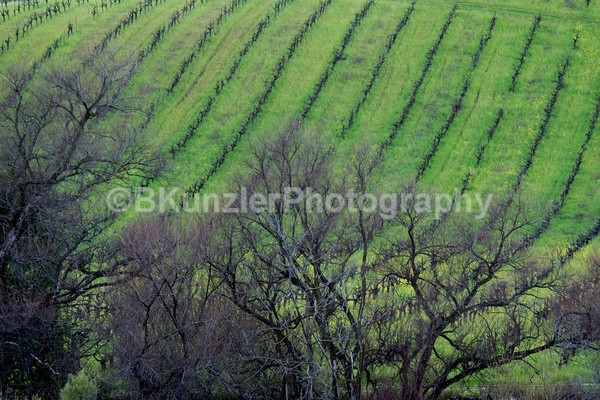  - Wine Country