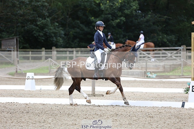 230812-120219-03911 - Cls 5 Novice Bronze 11.15 to 12.50 break