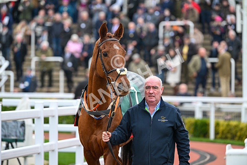 161124-Race 2-Paddock-Clonmeen-9383 - Race 2