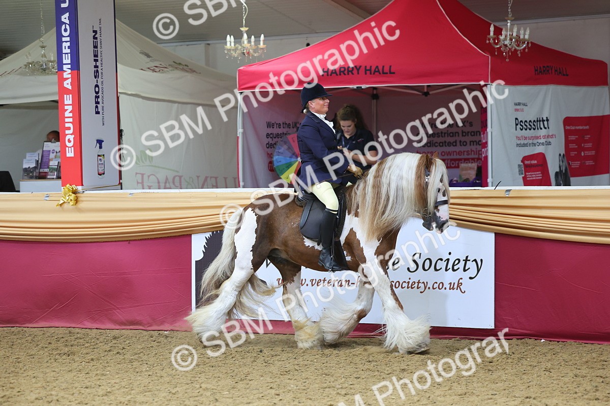 SBM_24515 - Class 906 - Supreme Final - Ridden Pre Vet