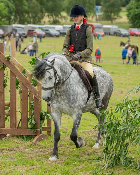 Dunblane show-631 - Dunblane and Doune Show Ring 1