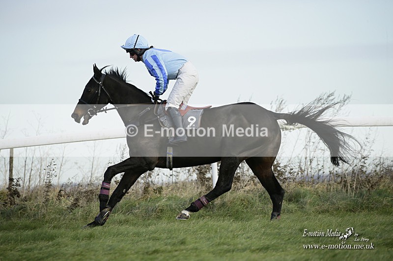 PtP 281121 0202 - Hursley Hambledon Point-to-Point Larkhill 28/11/21