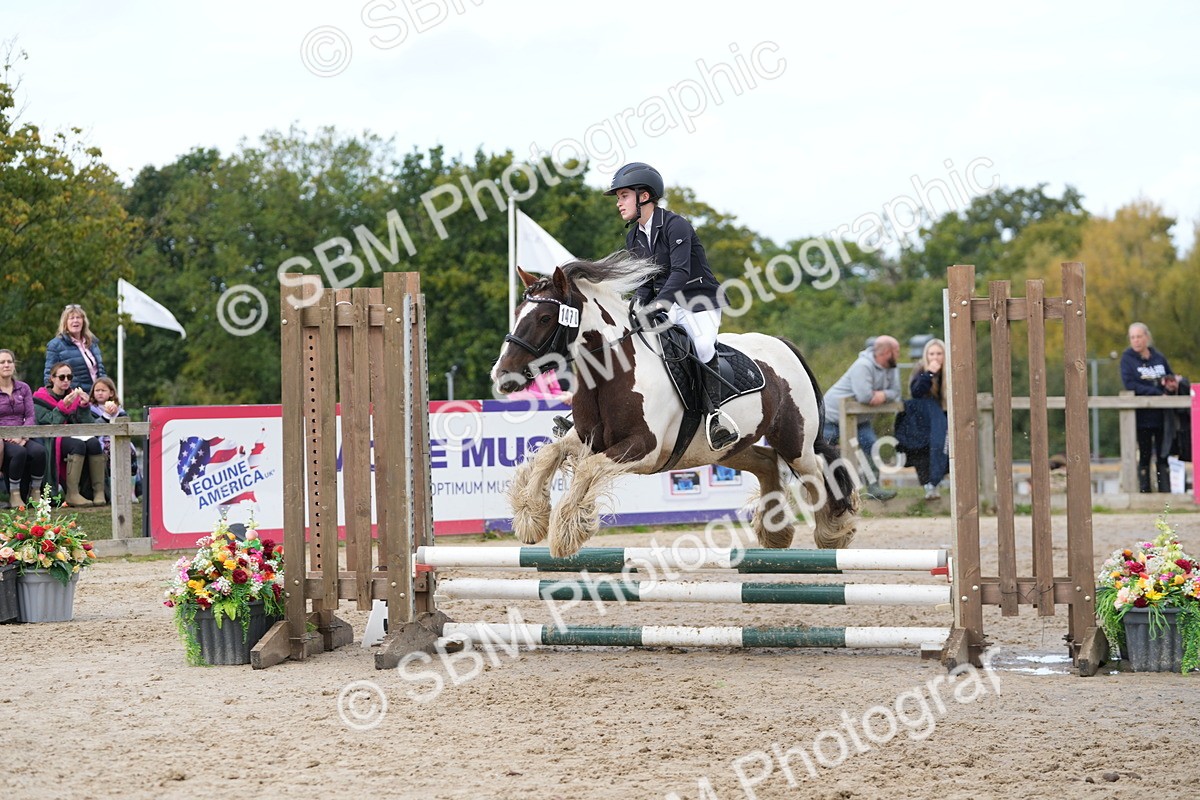 SBM_40725 - Supreme Championship Pony 50-55cm