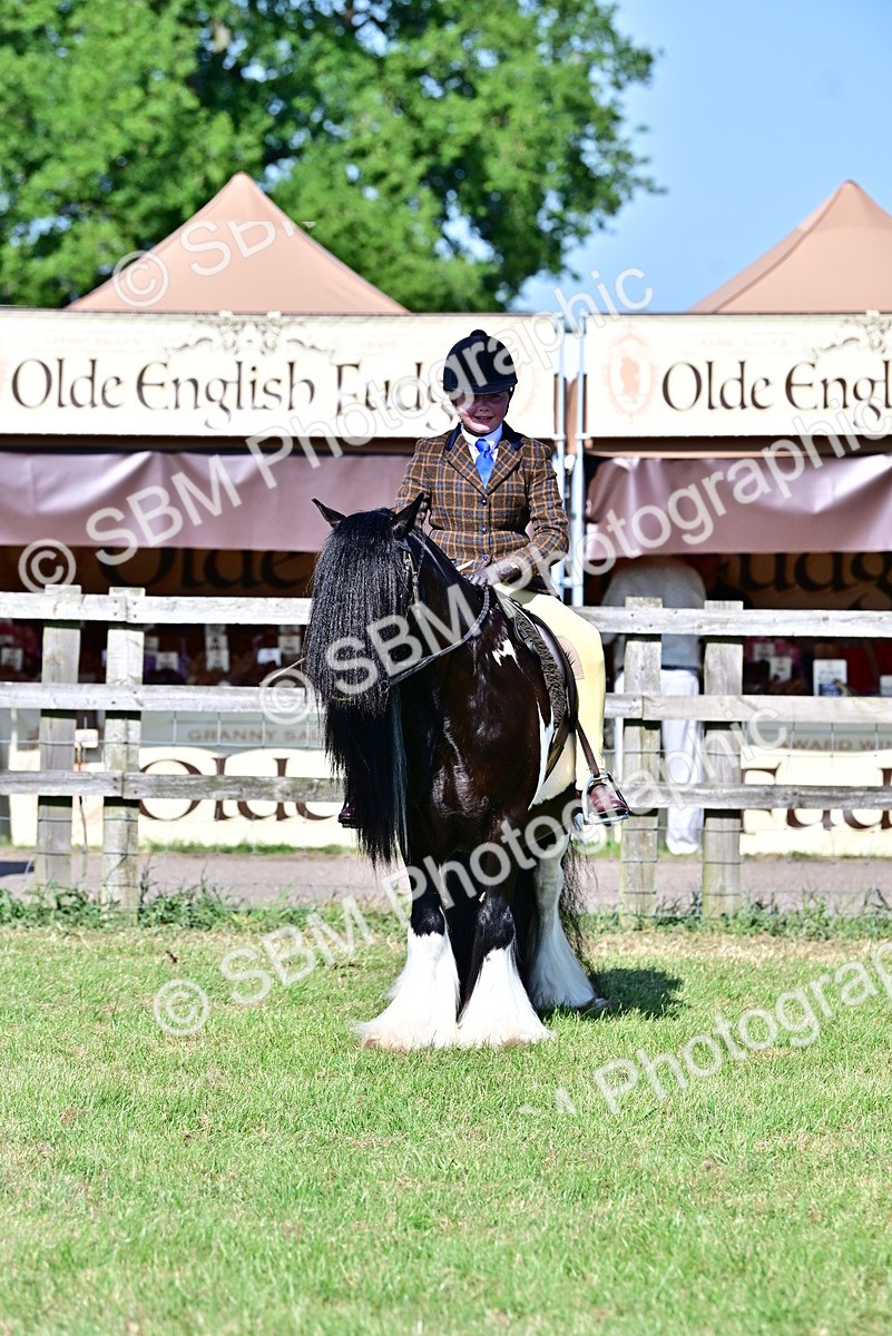 SBM_19442 - Class 101-102 - BSPS LIHS Performance Coloured Horse/Pony