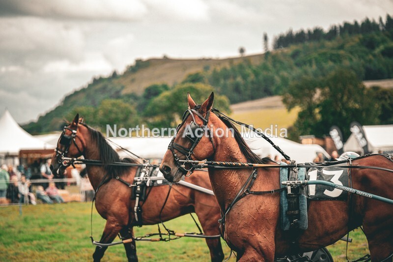DSCF7368 - Kilnsey Harness racing