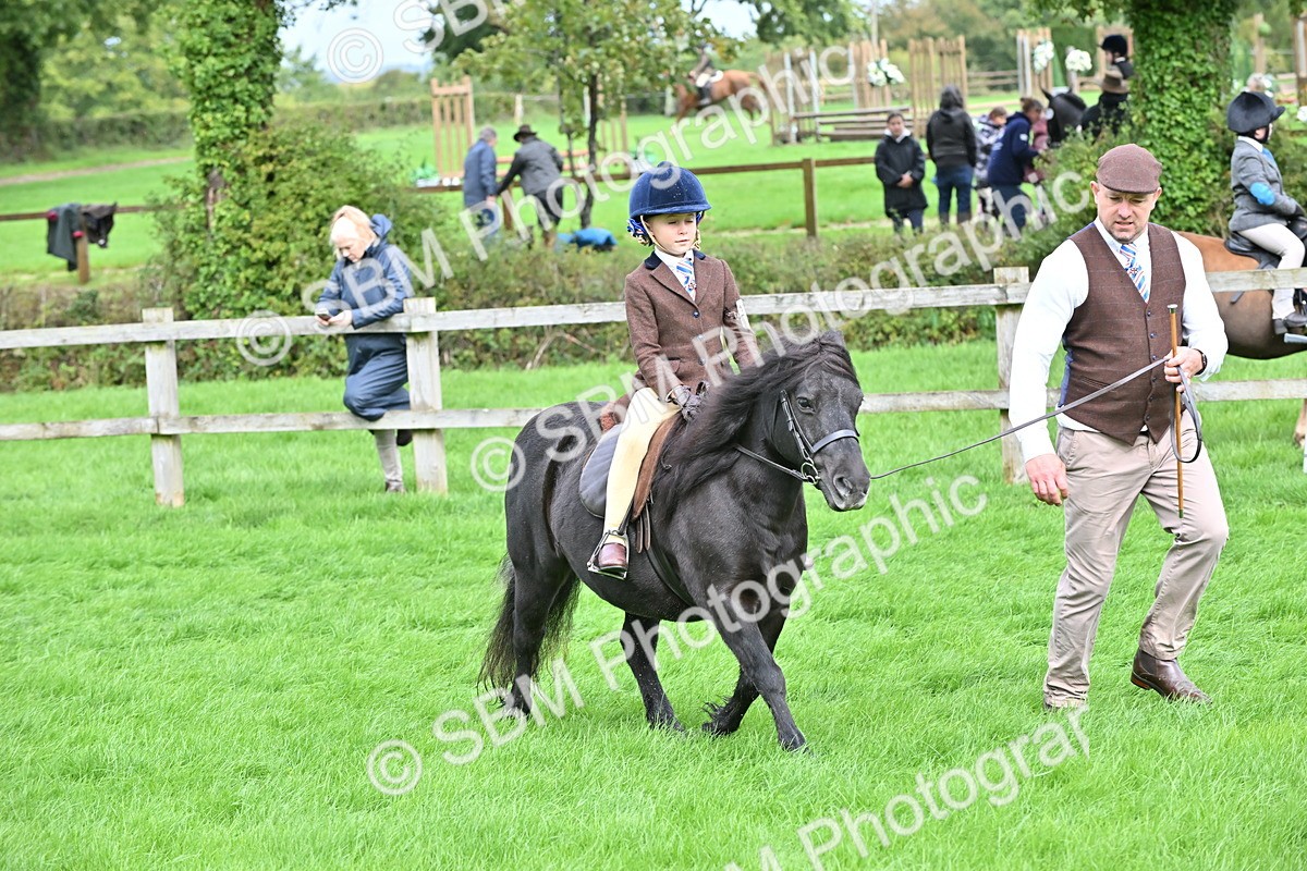 SBM_40145 - S20 - Lead Rein Mountain & Moorland Pony