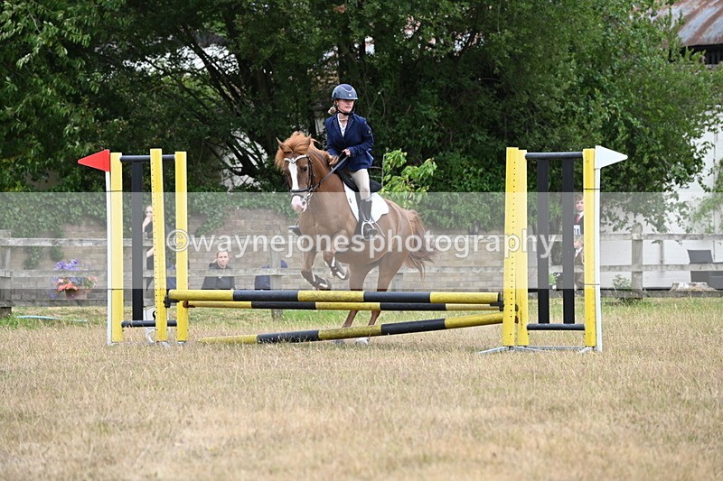 WJ6_0212 - Class 13 Novice Jumping 60cm
