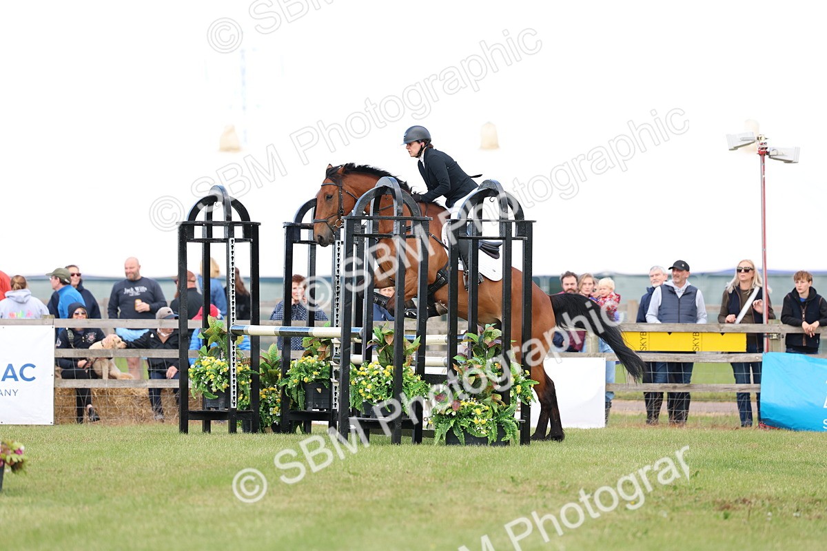 SBM_13473 - Class 206 - Senior Newcomers - 1.10m Open