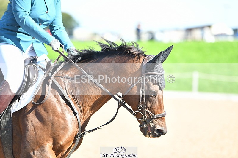 230903A-102959-03728 - Cls 12 95cm Amateur Quali