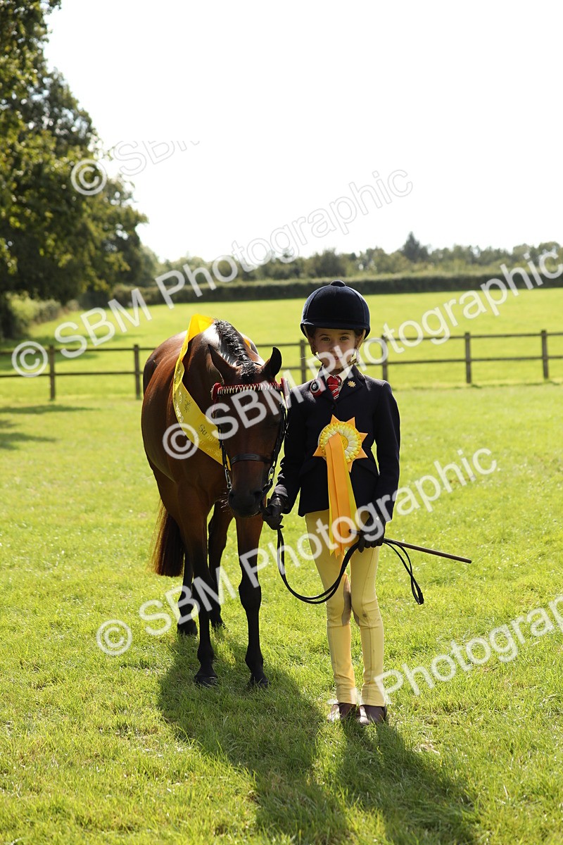 SBM_65612 - S48 - Show Pony & Show Hunter Pony In Hand