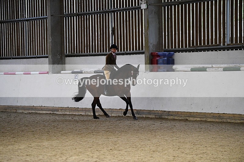 WJ5_8839 - Class 15 Ridden Show Horse