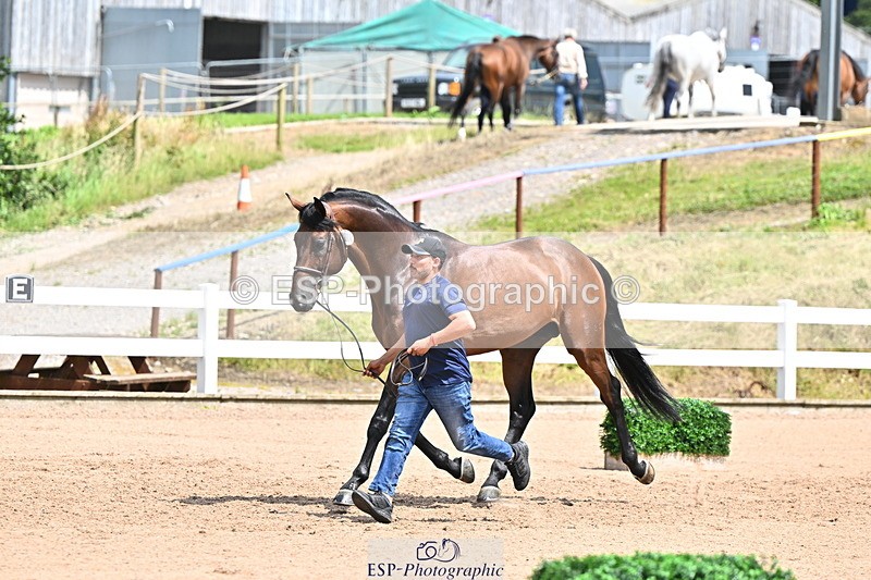 240718A-105307-01587 - Trot Up 1pm to 2pm