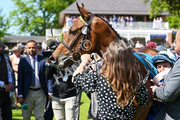 160525-Race 1-Secret Hideaway-6150 - Race 1 2.10pm Clipper EBF Marygate Fillies' Stakes