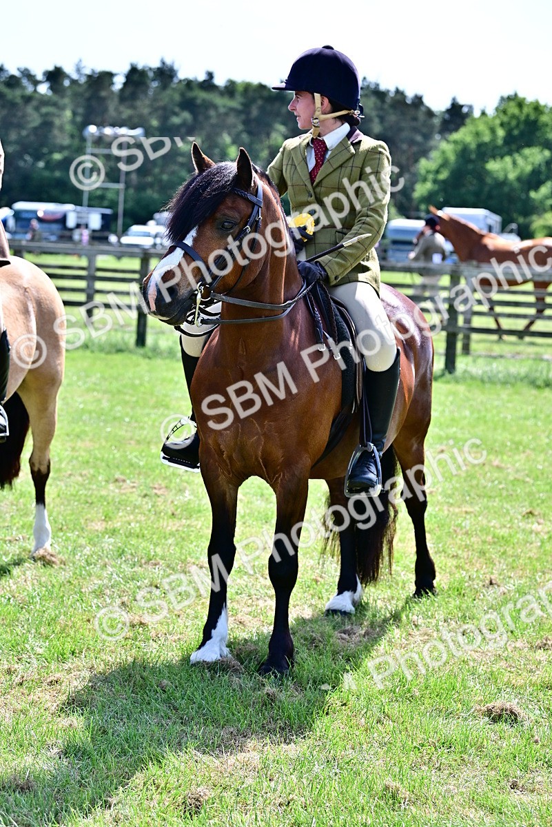 SBM_08113 - Class 61-62 - TSR  M&M Ridden Amateur of the Year