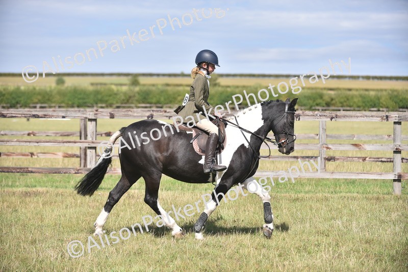 20260906-2657 - Class 12 - 14.2hh and Under