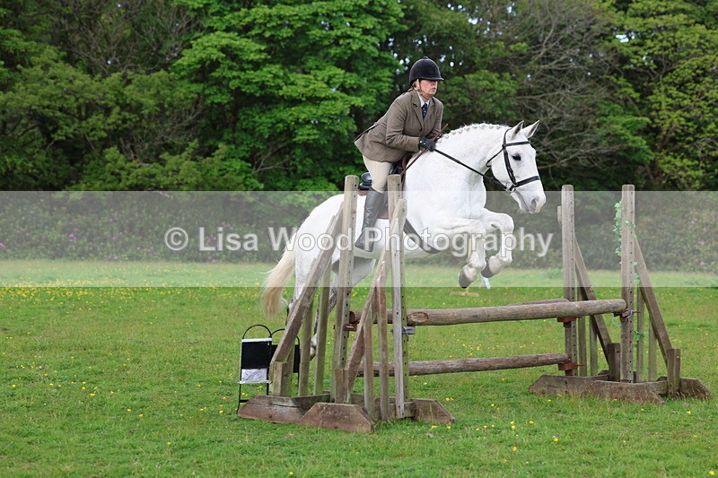 3E7A2550 - Classes 30 and 31: 80cm Working Hunter