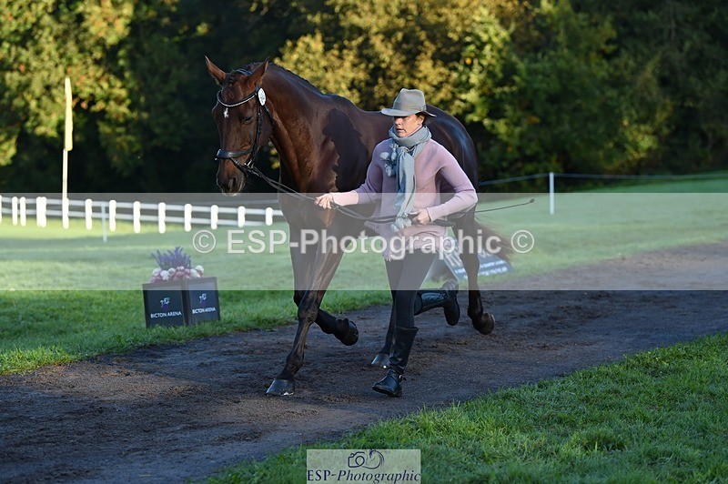 231022-085652-21462 - 649-DONAIL.BEAUANCO-Sheila.Williams-TrotUp+SJ