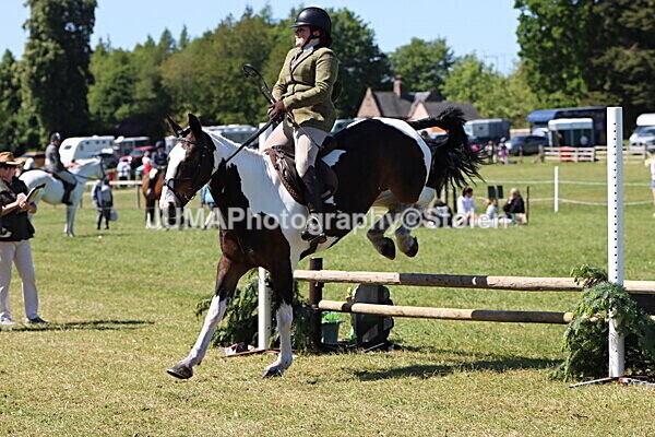 IMG_4104 - Working Hunter