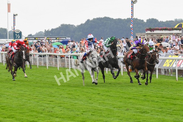 100923-Pony Race 2-Its Fatherted-0255 - Pony Race 2 12.45 The Dragon (TV and Film) Studios Pony Race 148cm & Under