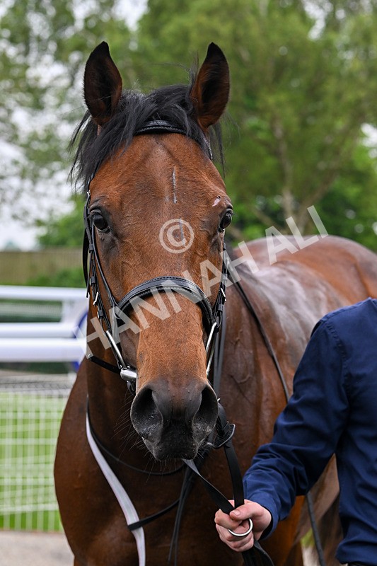 140524-Race 1-Moving Force-1381 - Race 1