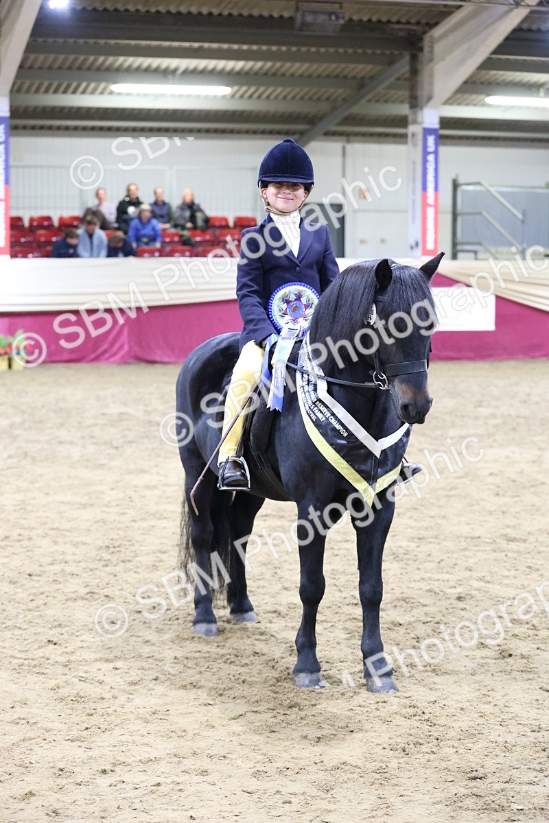 SBM_20616 - Class H - IH Competition - Riding Club champ