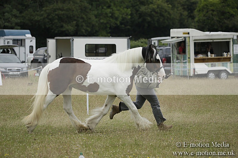 B230619-0829 - Bourne Valley Riding Club Summer Show 23/06/19