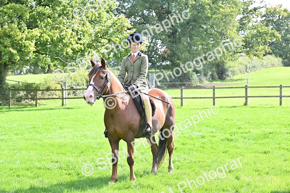 SBM_44589 - S13 - Pony Club Pony