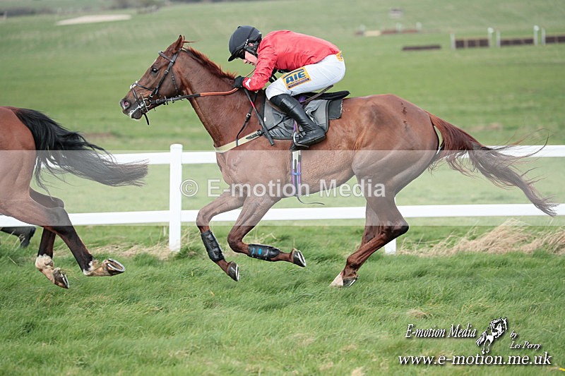 PtP 230324 458 - Tedworth Hunt PtP Larkhill Raccourse 23rd March 2024