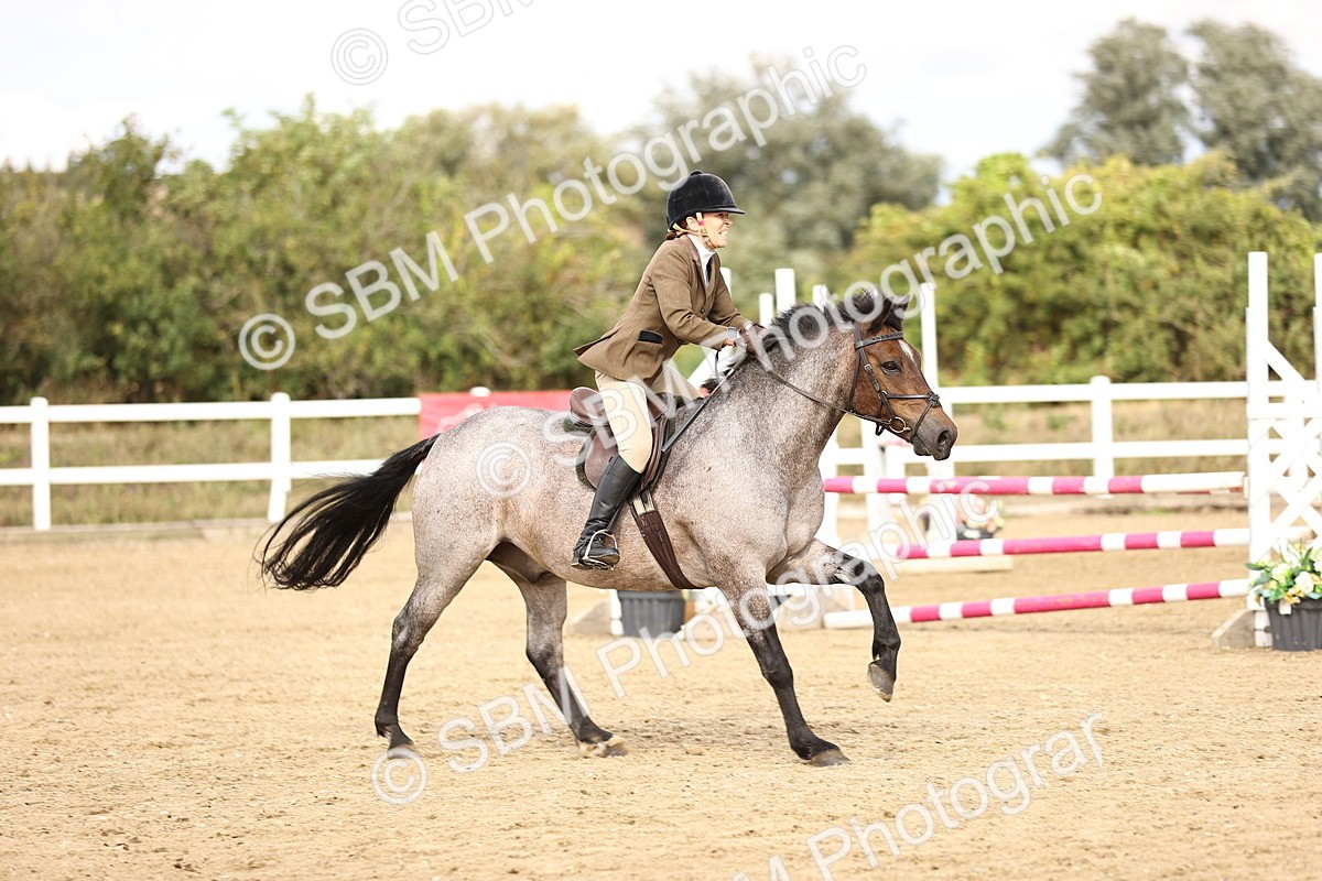 SBM_008411