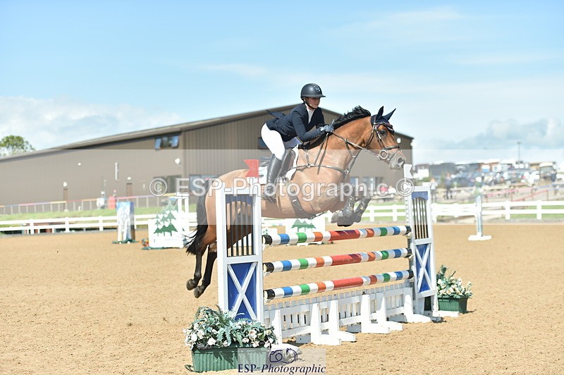 230723A-155142-13205 - Cls 16, 1 Star Bronze 1.15m